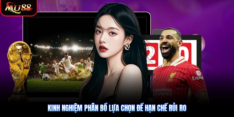 Kinh nghiệm phân bổ lựa chọn để hạn chế rủi ro